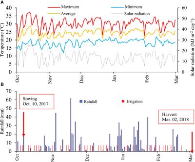 Nitrogen balance and gap of a high yield tropical soybean crop under irrigation